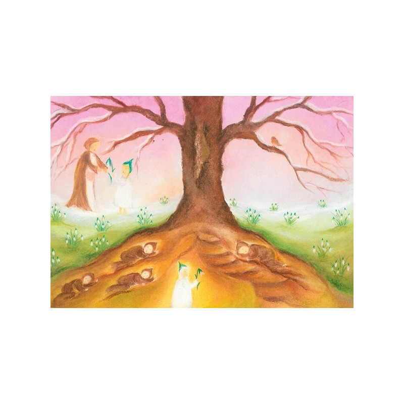 Hedgehogs  (Baukje Exler)