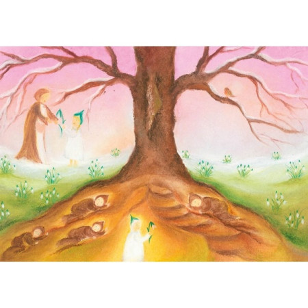 Hedgehogs  (Baukje Exler)