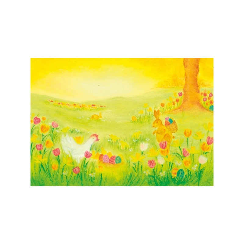 Hedgehogs  (Baukje Exler)