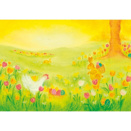 Hedgehogs  (Baukje Exler)