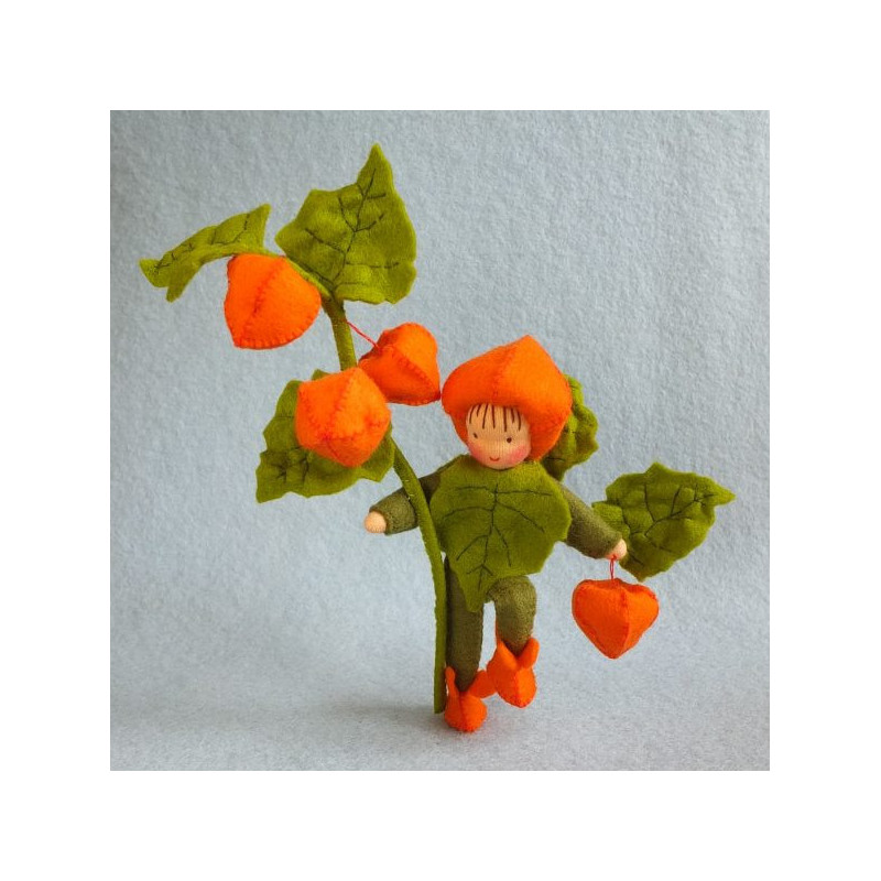 latern plant (Atelier Pippilotta)