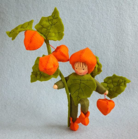 latern plant (Atelier Pippilotta)