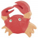 Holztiger crab