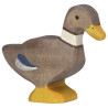 Holztiger duck standing