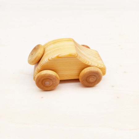 Debresk kleine houten kever