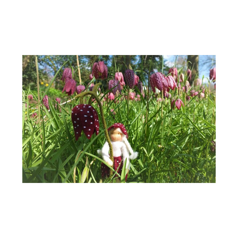 Kievitsbloem (Atelier Pippilotta)