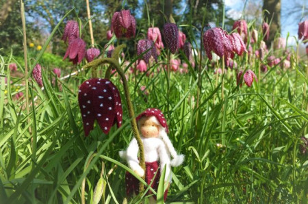 Kievitsbloem (Atelier Pippilotta)