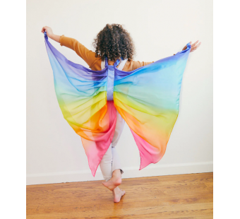 Sarah's silk zijde vleugels regenboog