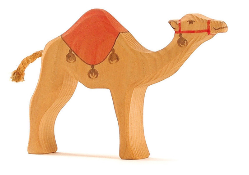 Ostheimer dromedary with saddle