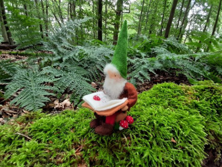 Voorleeskabouter  (atelier Pippilotta)