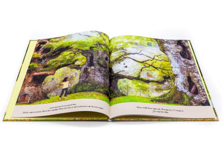 Het land achter de elfendeur (Lars van de Goor, Gabby Dawney)