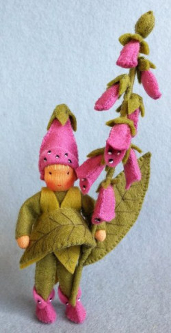 Vingerhoedskruid (atelier Pippilotta)