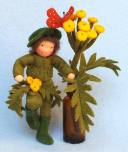 boerenwormkruid  (Atelier Pippilotta)