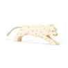 Ostheimer snow leopard (22620)