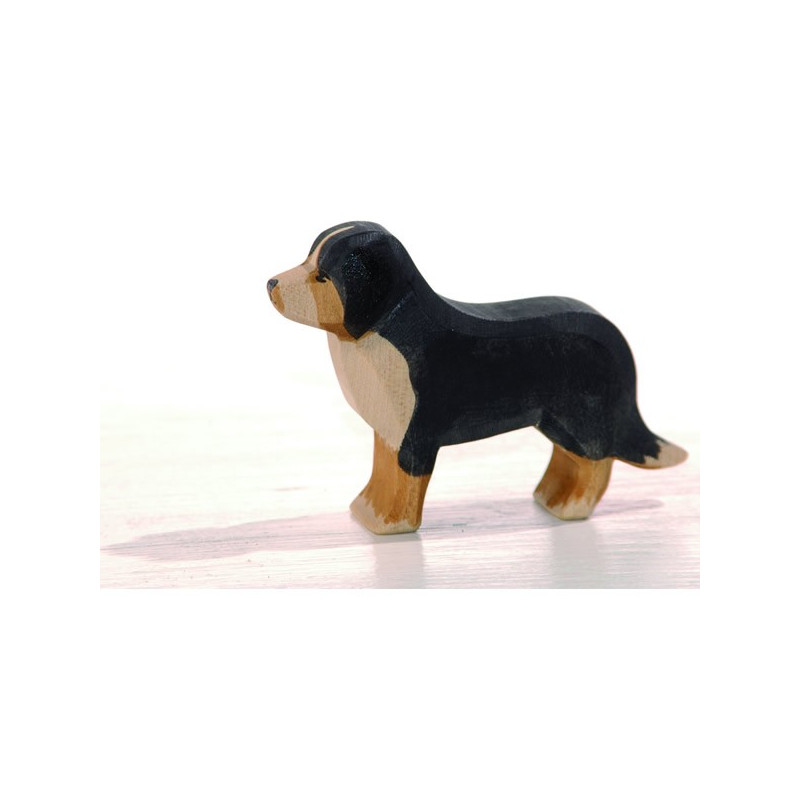 Ostheimer Berner Senner hond (10521)