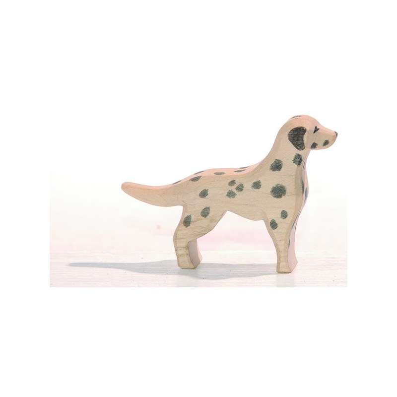 Ostheimer dalmatiër (10511)