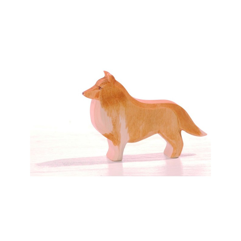 Ostheimer schotse collie (10516)