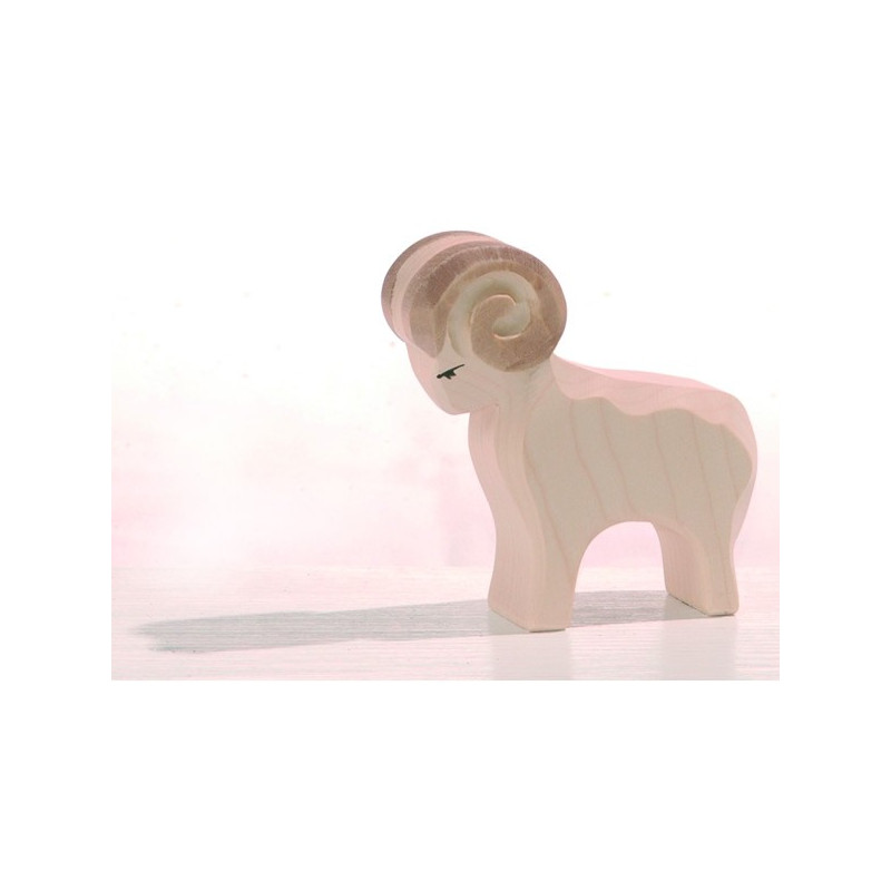Ostheimer ram (11601)