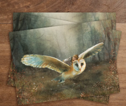 Iris Esther postkaart adventure