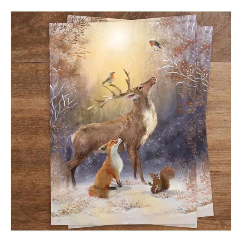 Iris Esther postal card adventure