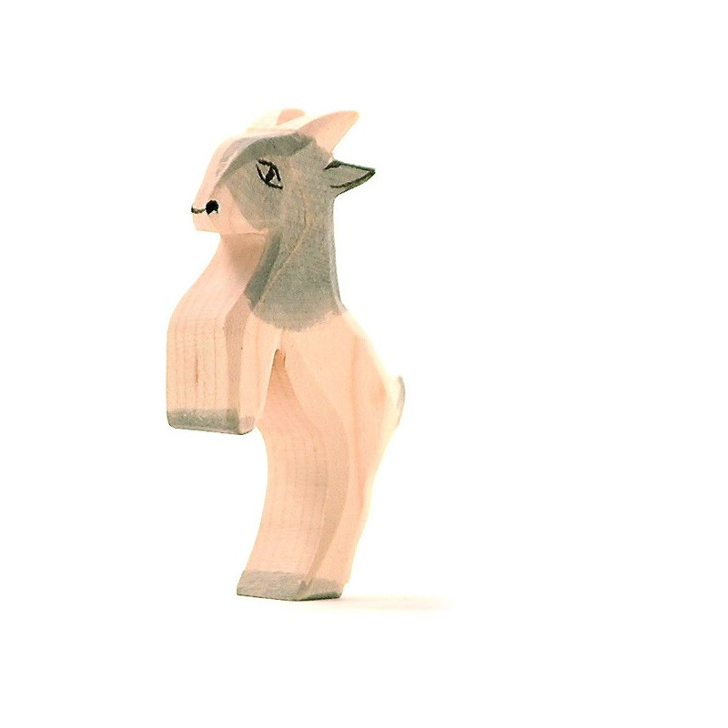 Ostheimer springend geitje (11714)