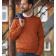 Reiff woloen sweater for men terra