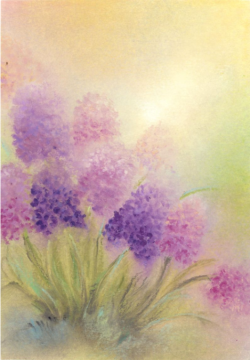 Postcard Bluebell (Baukje Exler)