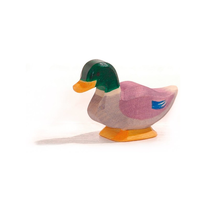 Ostheimer eend (13211)