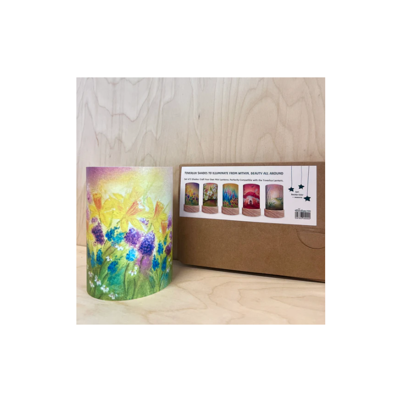 Toverlux Set van 5 lichtkaarten Robin Pieterse