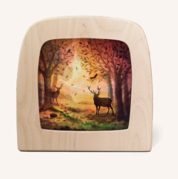 vogel geluk  silhouet  Saint Martin