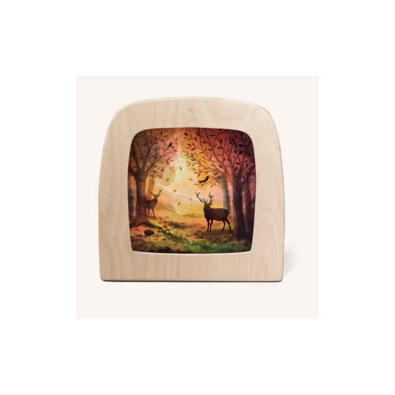 vogel geluk  silhouet  Saint Martin