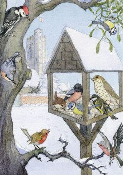 Postcard Robin Finds Christmas (Molly Brett) 331
