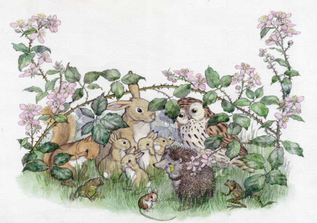 Postcard  Garden Magic (Molly Brett)