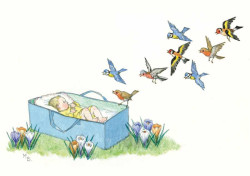 Postal card Dawn Chorus (Molly Brett)