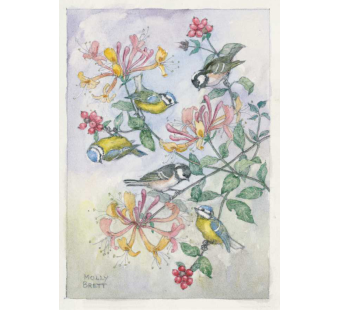 Postal card  Blue tits and coal tits on a honeysuckle    (Molly Brett) 175