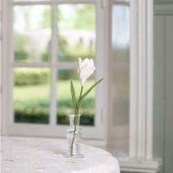 Sjaal met Verhaal crocus white
