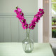Sjaal met Verhaal ridderspoor fuchsia