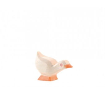 Ostheimer goose chick head down (13318)