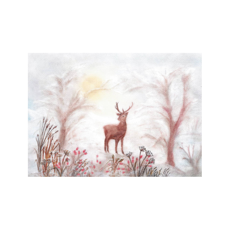 Seccorell Postkaart lammetje