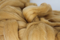 Duitse merinolontwol sering