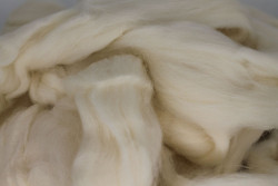 Duitse merinolontwol zuidduits merinoschaap creme