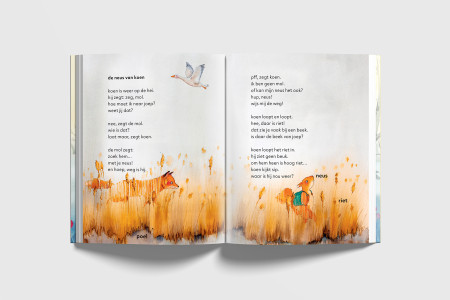 Koen igaat op reis  (v.d. Zanden Nieuwenhuyzen)