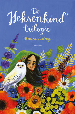 De Heksenkind trilogy (M. Furlong)
