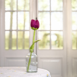 Sjaal met verhaal tulp Zoe