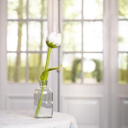 Sjaal met verhaal tulp Zoe