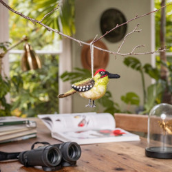 Sjaal met verhaal hanger dwergpapagaai