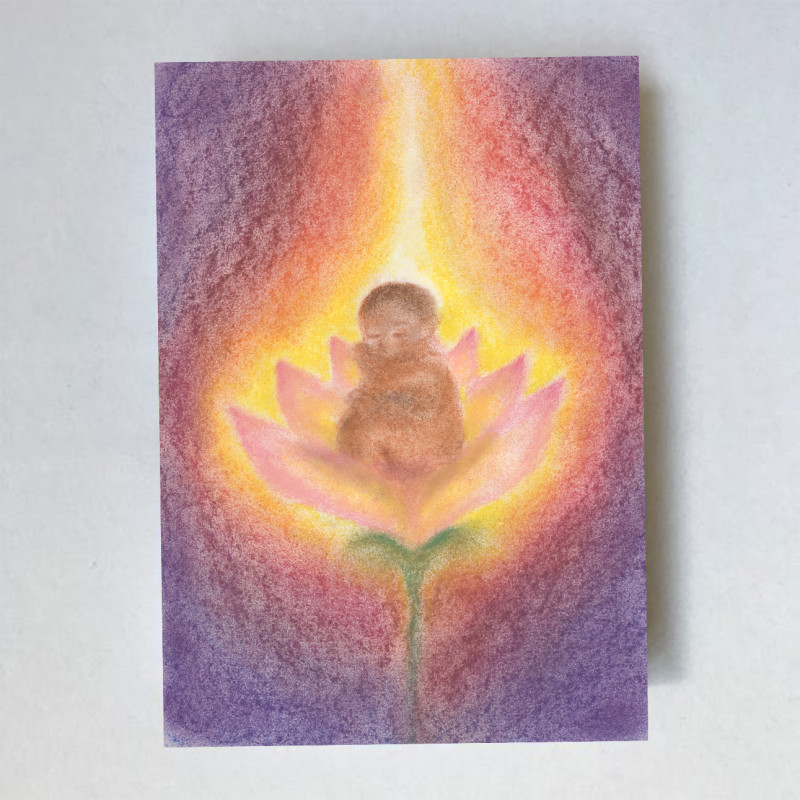 Postkaart Baby Lotus (Lot Bouwes) met envelop