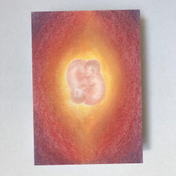 Postkaart Baby Lotus (Lot Bouwes) met envelop