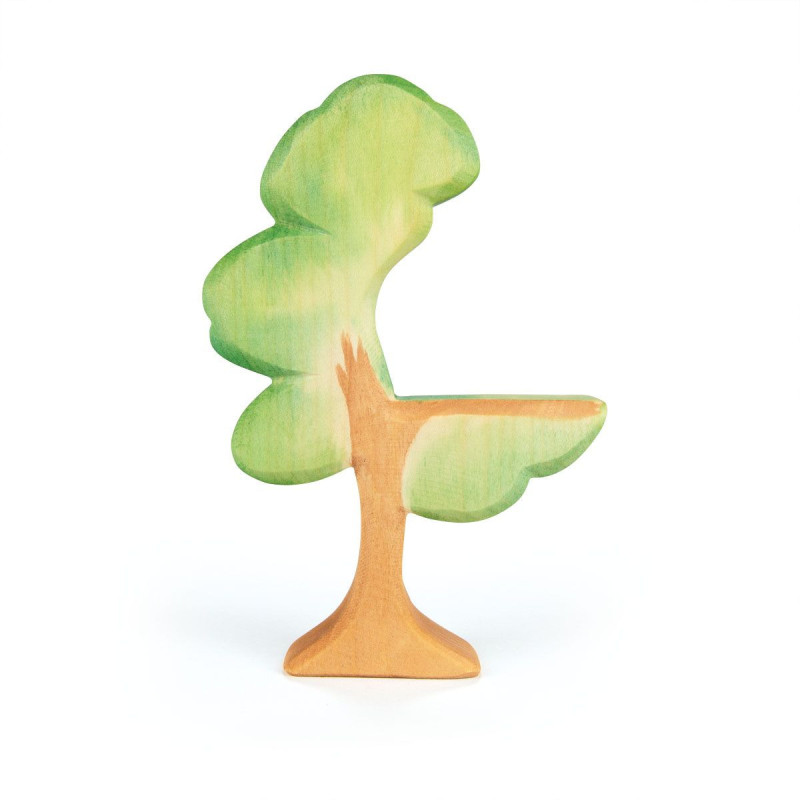 Ostheimer eucalyptusboom (20610)