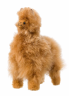 Apu kuntur knuffel Alpaca 15cm bruin